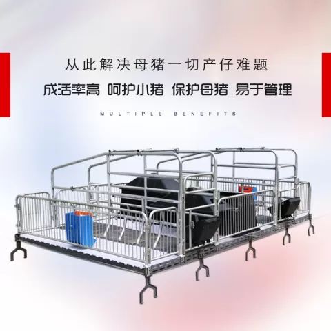 母猪产床